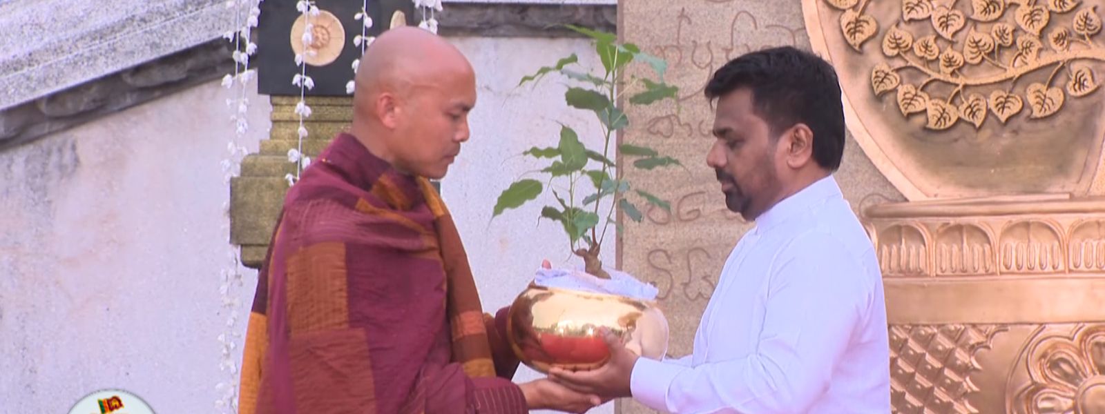 Sri Maha Bodhi Sapling Presented To Walk For Peace